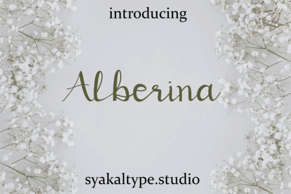 Alberina Font: Elevate Your Campaign Visuals