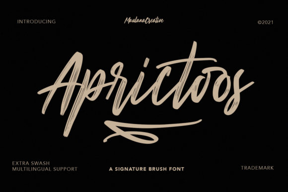 Aprictoos: The Brushed Font for Bold Branding