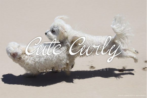 Cute Curly Font: Elevate Your Brand Identity