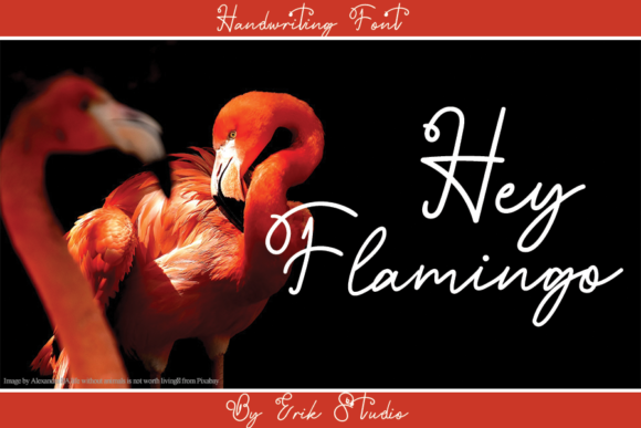 Hey Flamingo: A Timeless Script Handwritten Font for Brands