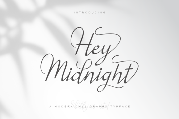 Hey Midnight: A Premium Script Handwritten Font for Campaigns