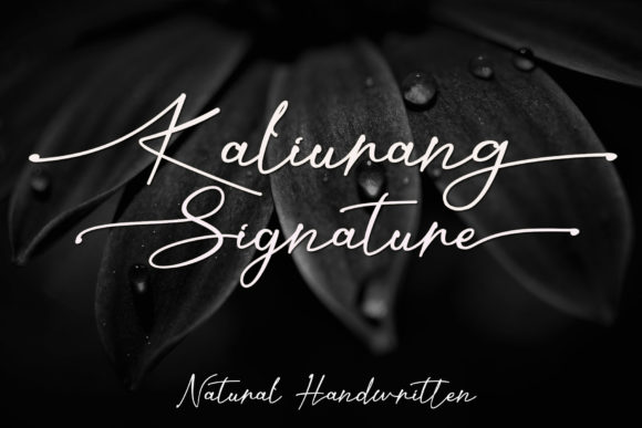 Kaliurang Signature: A Modern Handwritten Typeface for Editorial Design