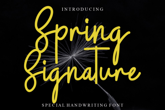 Spring Signature: A Dainty Script Font for Editors