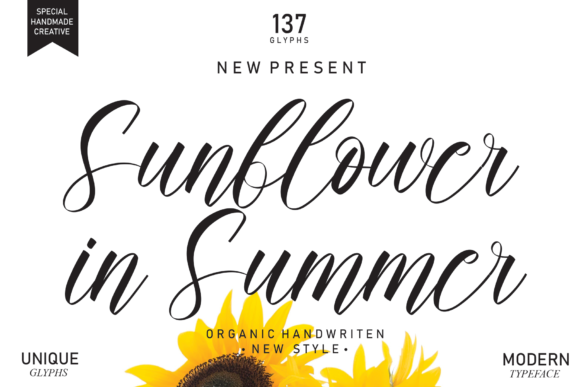 Sunflower in Summer Font Review for Branding