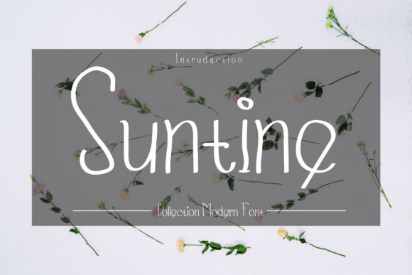 Suntine: The Thin Handwritten Font for Clear Campaigns